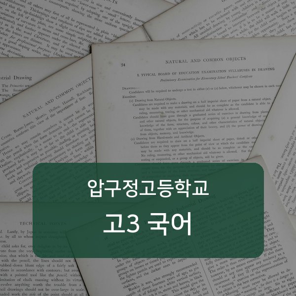 압구정고등학교 고3 학생 국어 1:1 과외