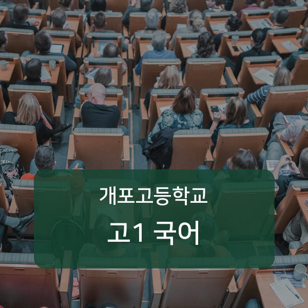 서울 개포고등학교 고1 국어 과외 추천