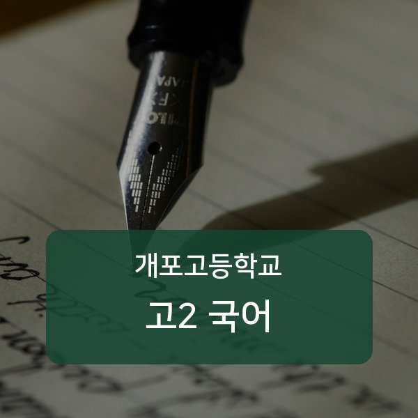 개포고등학교 고2 국어 1:1 과외 매칭