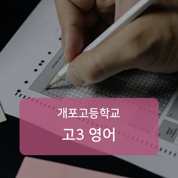 서울 개포고등학교 고3 영어 과외 추천