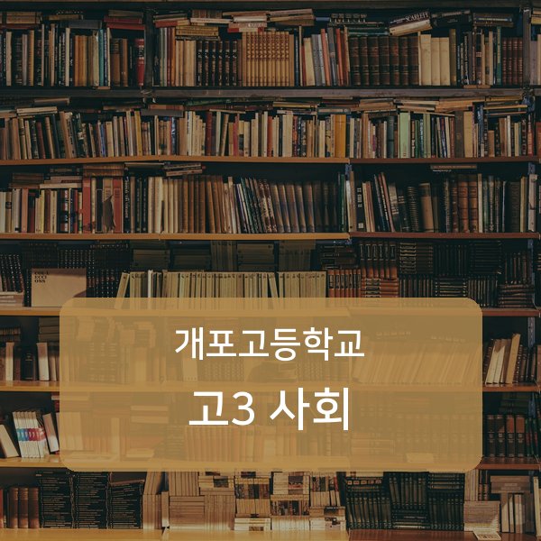 개포고등학교 고3 학생 사회 1:1 과외