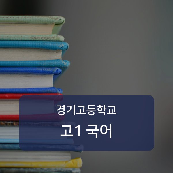 경기고등학교 고1 학생 국어 1:1 과외