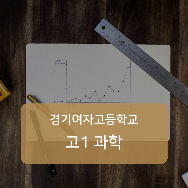 경기여자고등학교 고1 과학 1:1 과외 매칭