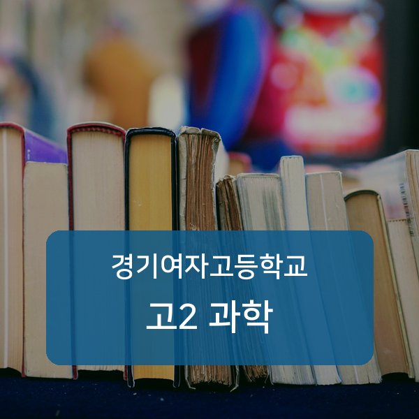 경기여자고등학교 고2 과학 1:1 과외 매칭