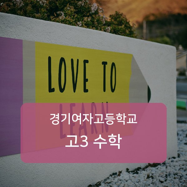 경기여자고등학교 고3 학생 수학 1:1 과외