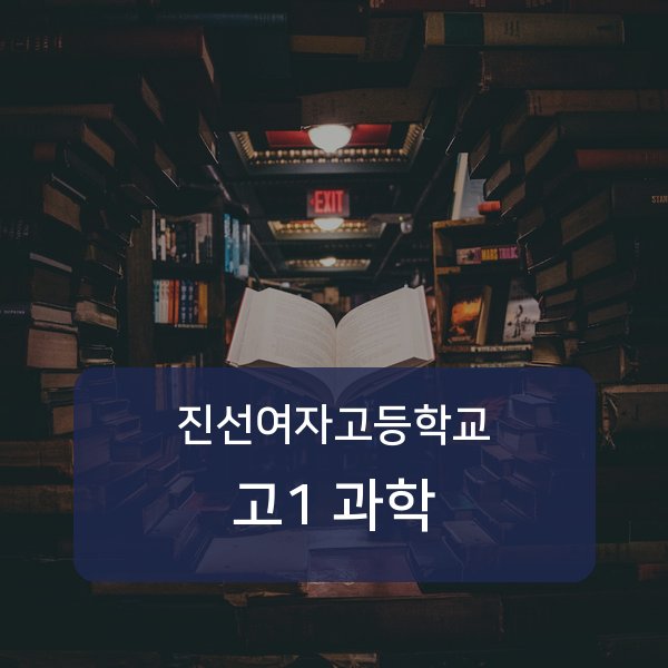 진선여자고등학교 고1 과학 1:1 과외 매칭