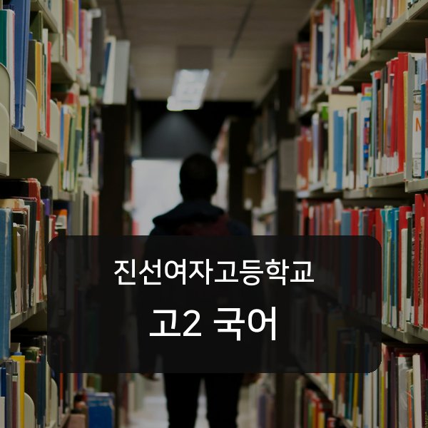 진선여자고등학교 고2 학생 국어 1:1 과외