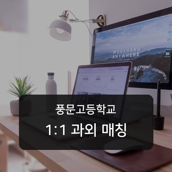 풍문고등학교 과외 안내