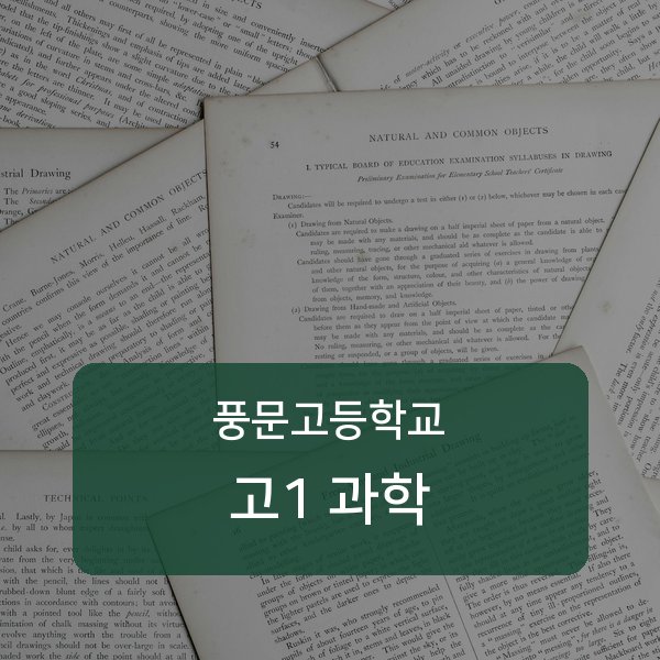 서울 풍문고등학교 고1 과학 과외 추천