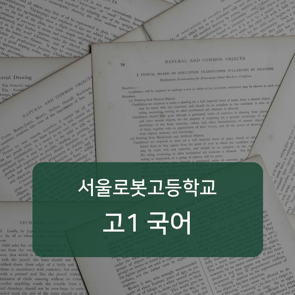 서울 서울로봇고등학교 고1 국어 과외 추천