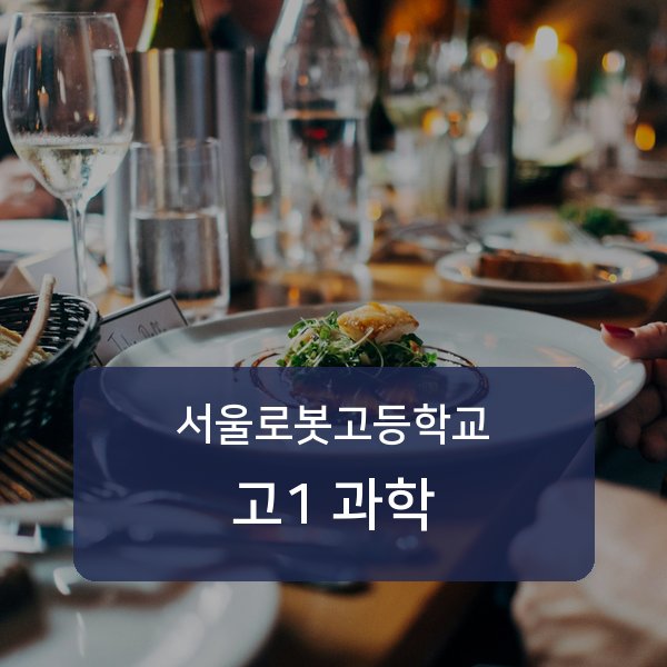 서울로봇고등학교 고1 학생 과학 1:1 과외