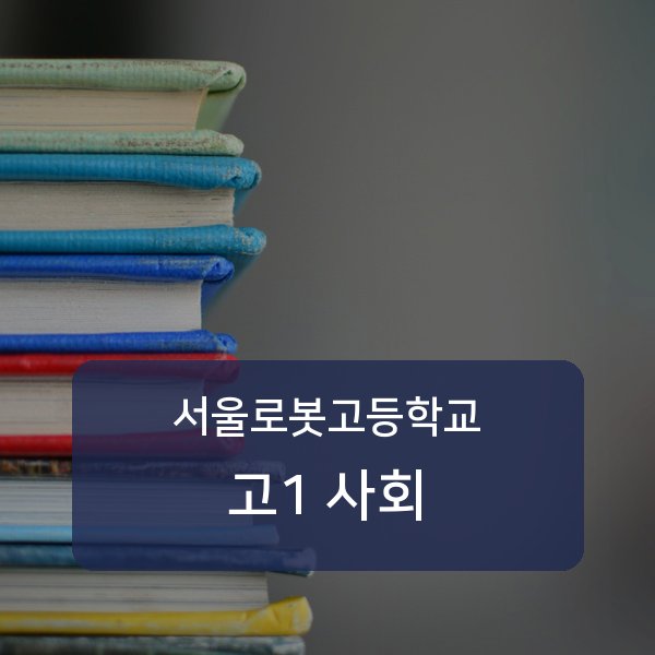 서울로봇고등학교 고1 학생 사회 1:1 과외