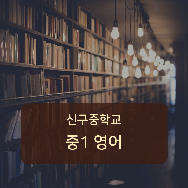 신구중학교 중1 학생 영어 1:1 과외