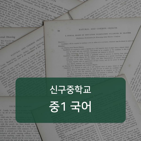 신구중학교 중학교 1학년 국어 과외 — 검증된 매칭