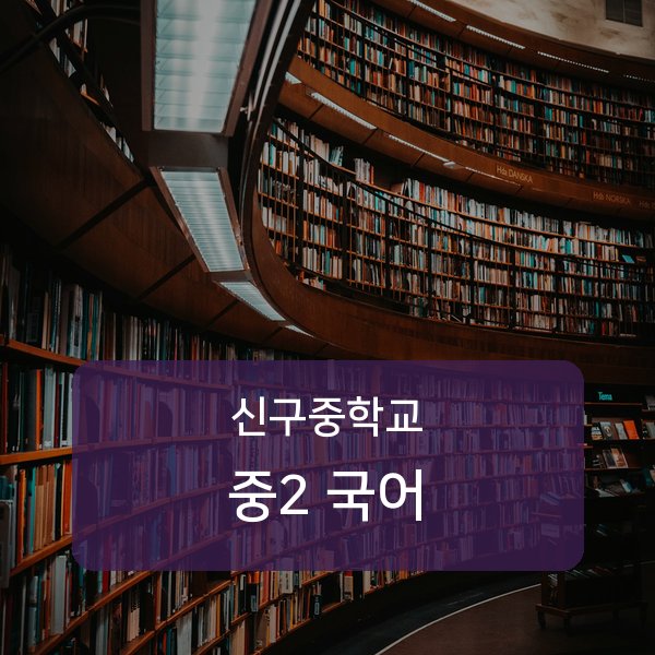 신구중학교 중2 국어 1:1 과외 매칭