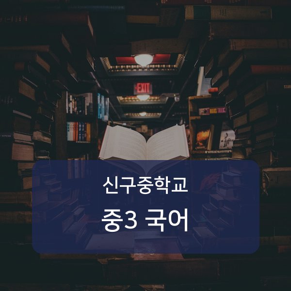 신구중학교 중학교 3학년 국어 과외 — 검증된 매칭