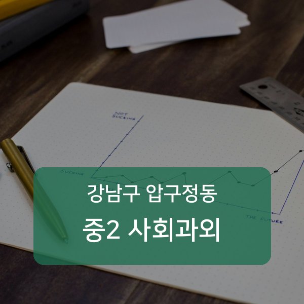 신사중·압구정중·압구정고등 중학교 2학년 학생 사회 1:1 과외 — 학교 시험 출제 분석 상담