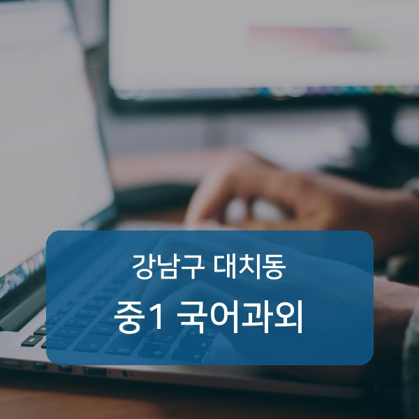 단국대학교사범대학부속중·대명중·휘문중 중학교 1학년 학생 국어 1:1 과외 — 학교 시험 출제 분석 상담