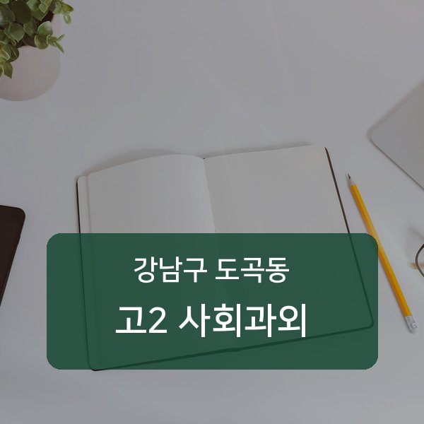 대치중·도곡중·은성중 고등학교 2학년 학생 사회 1:1 과외 — 학교 시험 출제 분석 상담