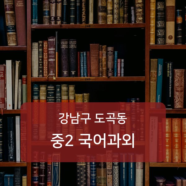 대치중·도곡중·은성중 중학교 2학년 학생 국어 1:1 과외 — 학교 시험 출제 분석 상담