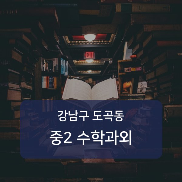 대치중·도곡중·은성중 중학교 2학년 학생 수학 1:1 과외 — 학교 시험 출제 분석 상담