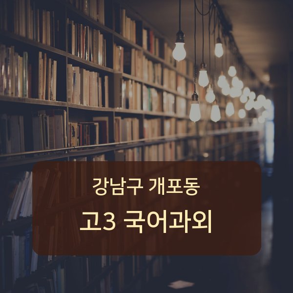 개원중·개포중·구룡중 고등학교 3학년 학생 국어 1:1 과외 — 학교 시험 출제 분석 상담