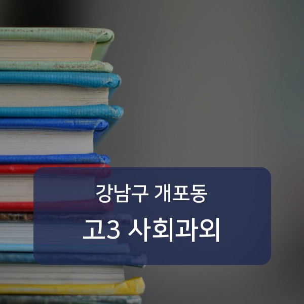 개원중·개포중·구룡중 고등학교 3학년 학생 사회 1:1 과외 — 학교 시험 출제 분석 상담