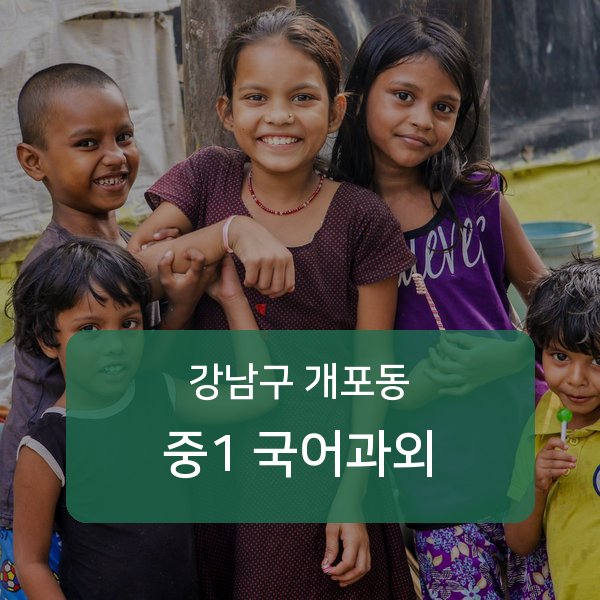 개원중·개포중·구룡중 중학교 1학년 학생 국어 1:1 과외 — 학교 시험 출제 분석 상담