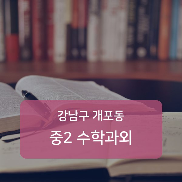 개원중·개포중·구룡중 중학교 2학년 학생 수학 1:1 과외 — 학교 시험 출제 분석 상담
