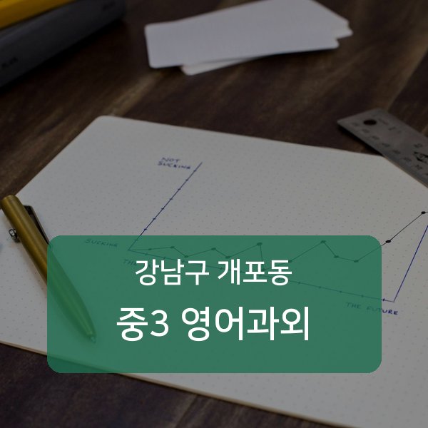 개원중·개포중·구룡중 중학교 3학년 학생 영어 1:1 과외 — 학교 시험 출제 분석 상담