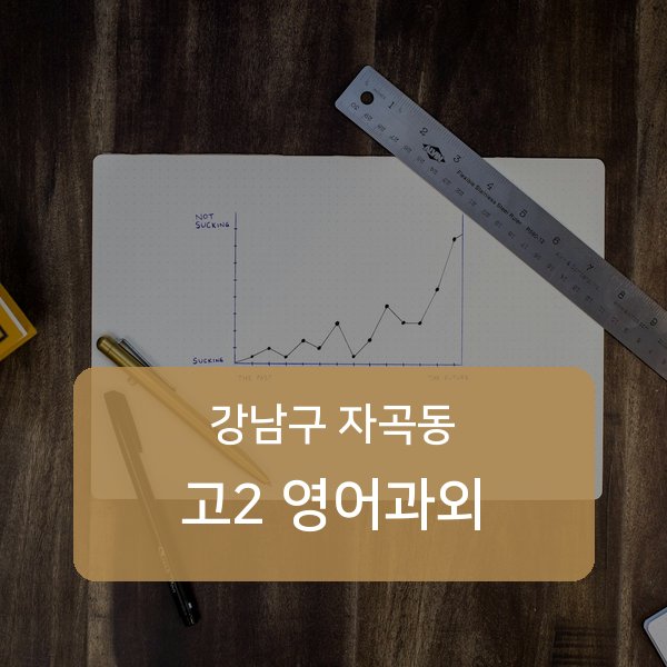 세곡중·풍문고등 고등학교 2학년 학생 영어 1:1 과외 — 학교 시험 출제 분석 상담