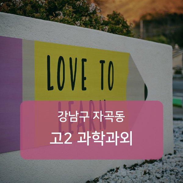 세곡중·풍문고등 고등학교 2학년 학생 과학 1:1 과외 — 학교 시험 출제 분석 상담