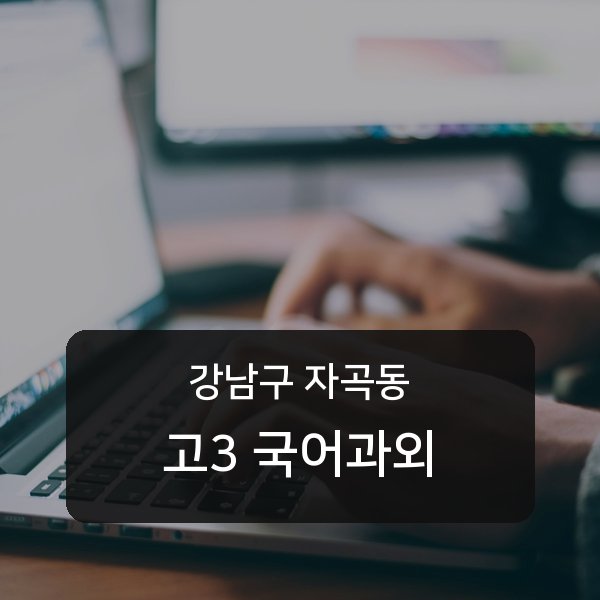 세곡중·풍문고등 고등학교 3학년 학생 국어 1:1 과외 — 학교 시험 출제 분석 상담