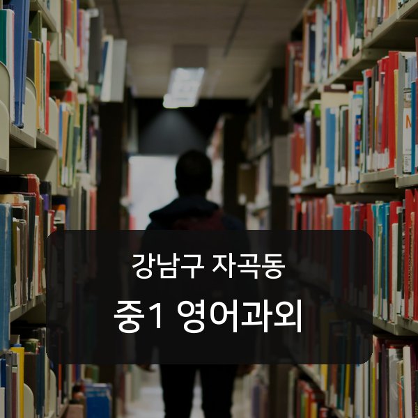 세곡중·풍문고등 중학교 1학년 학생 영어 1:1 과외 — 학교 시험 출제 분석 상담