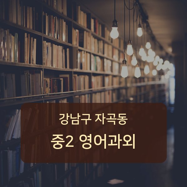 세곡중·풍문고등 중학교 2학년 학생 영어 1:1 과외 — 학교 시험 출제 분석 상담