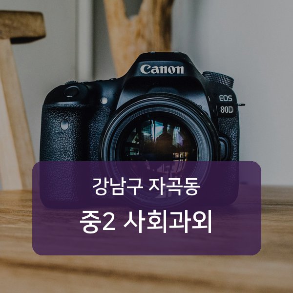세곡중·풍문고등 중학교 2학년 학생 사회 1:1 과외 — 학교 시험 출제 분석 상담