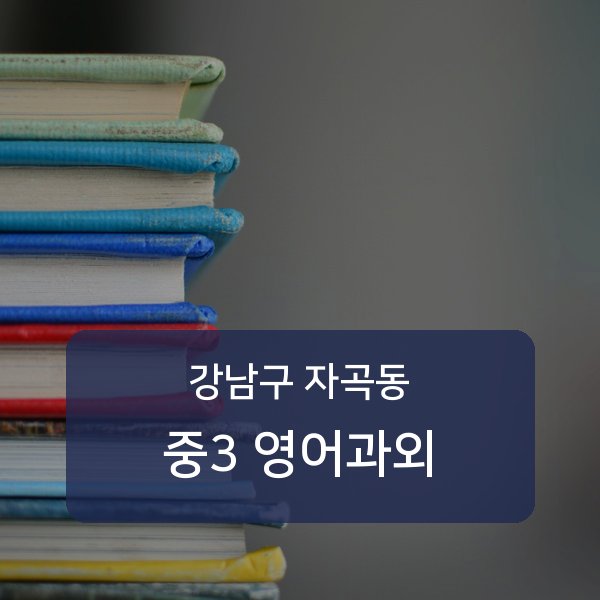 세곡중·풍문고등 중학교 3학년 학생 영어 1:1 과외 — 학교 시험 출제 분석 상담