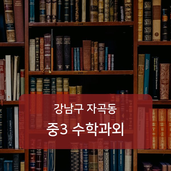세곡중·풍문고등 중학교 3학년 학생 수학 1:1 과외 — 학교 시험 출제 분석 상담