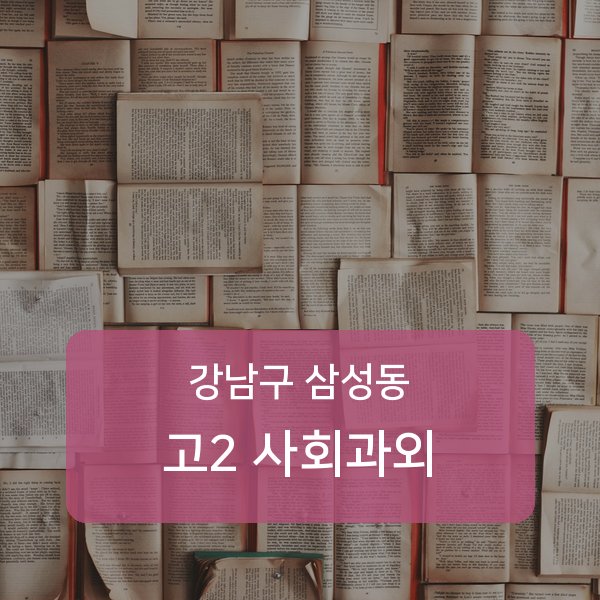 봉은중·경기고등 고등학교 2학년 학생 사회 1:1 과외 — 학교 시험 출제 분석 상담