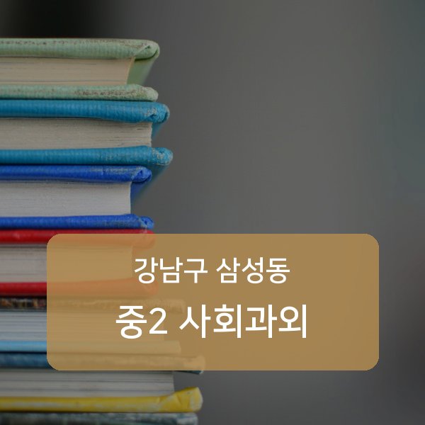 봉은중·경기고등 중학교 2학년 학생 사회 1:1 과외 — 학교 시험 출제 분석 상담