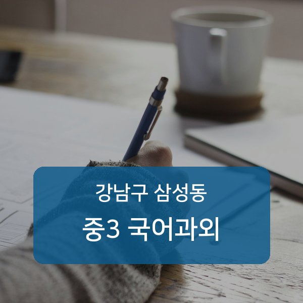 봉은중·경기고등 중학교 3학년 학생 국어 1:1 과외 — 학교 시험 출제 분석 상담