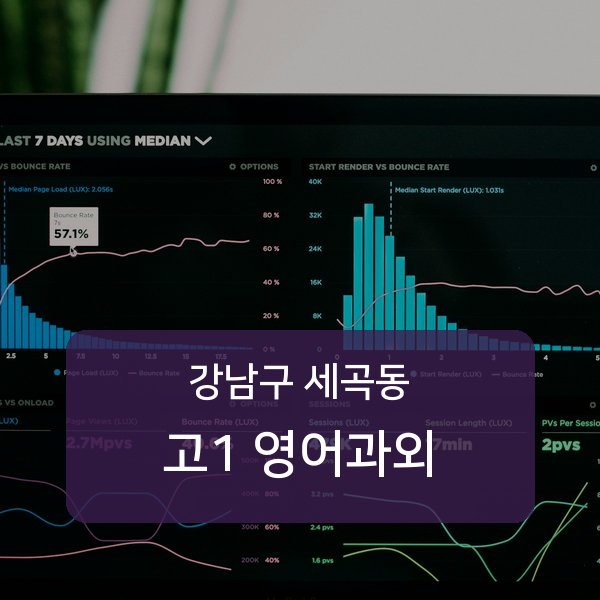 서울 강남구 세곡동 고1 영어 과외 추천