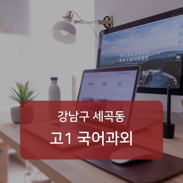 세곡동 고1 국어 1:1 매칭 — 강남구 안내