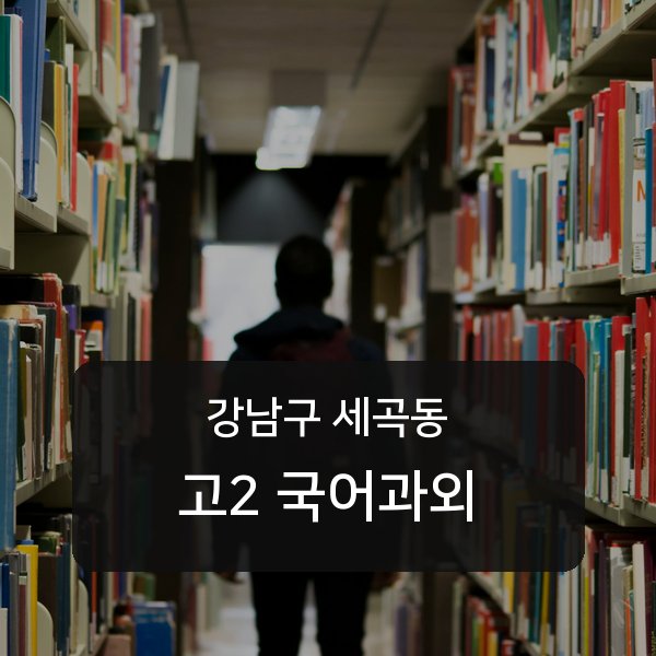 서울 세곡동 고2 국어 매칭 안내