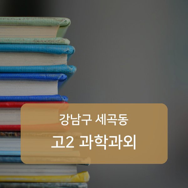 강남구 세곡동 고2 과학 과외 한 곳에서