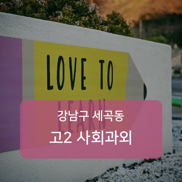 강남구 세곡동 고2 사회 검증된 1:1 과외