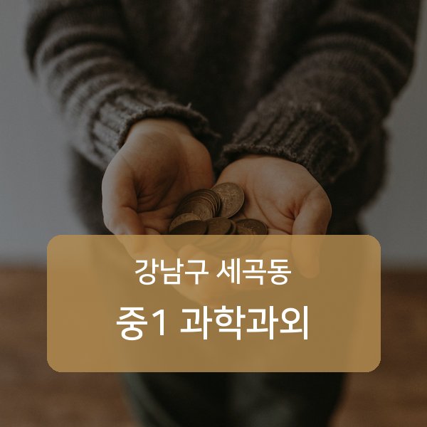 세곡동 중학교 1학년 과학 과외 찾기 — 강남구