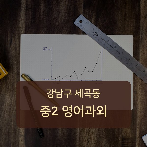 강남구 세곡동 중학교 2학년 영어 학습 1:1