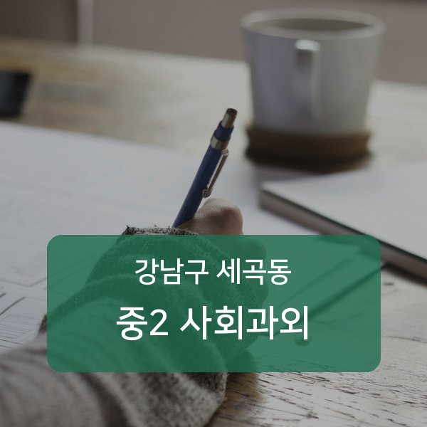 강남구 세곡동 중2 사회 1:1 매칭 안내