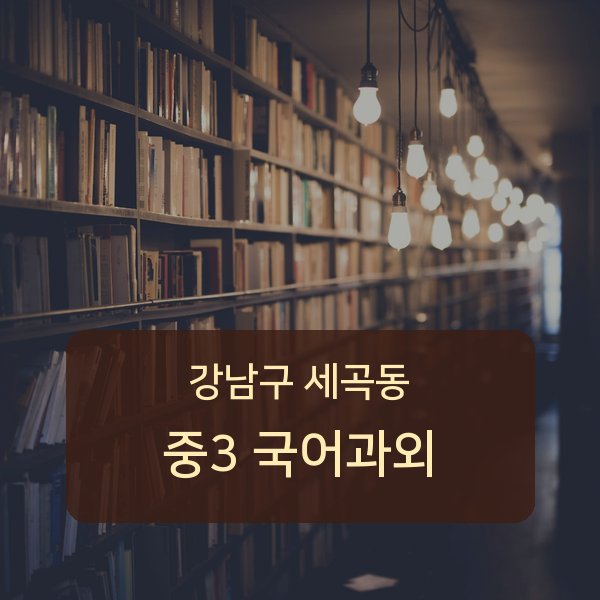 서울 강남구 세곡동 중학교 3학년 국어 1:1 과외